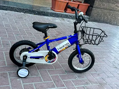 Kids Phoenix 12-inch Blue Bicycle with Training Wheels and Front Basket
