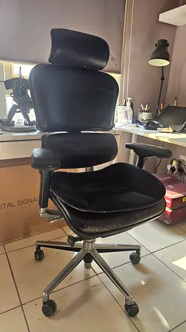 Ergonomic Chair