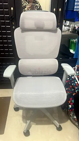 White Ergonomic Mesh Office Chair with Headrest