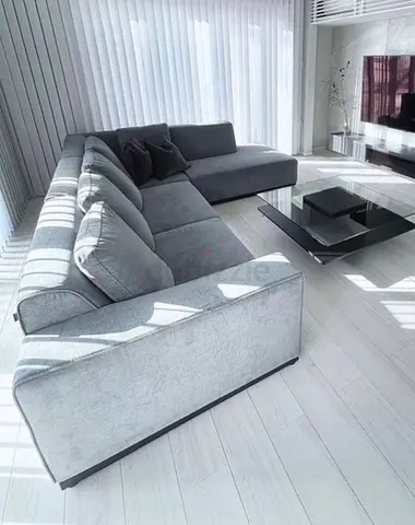 Light gray colour 4 seater L shape Sofa