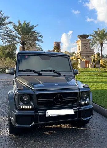 2016 Mercedes-BENZ G-CLASS photo 5
