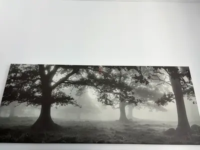 Large Black & White Forest Canvas Wall Art -