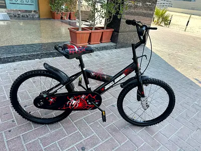 Kids' 20-inch Spider-themed Bicycle — Good Condition