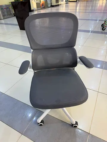 Office mesh chair