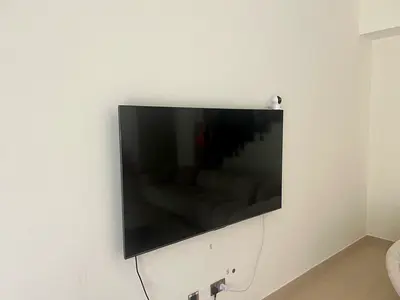 55 inch Wall Mounted Flat Panel TV (Good Working Condition), 7 months old only.