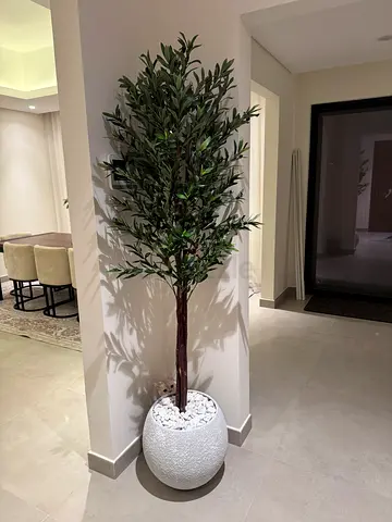 Tall Artificial Olive Tree in White Decorative Pot