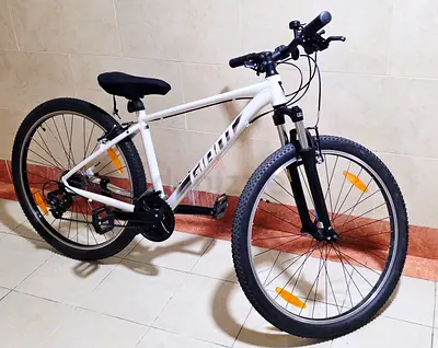 Cycle