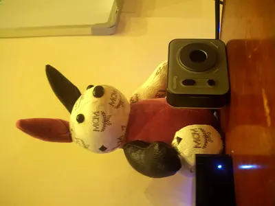 Small stuffed plush animal toy (soft rabbit-like) - good condition