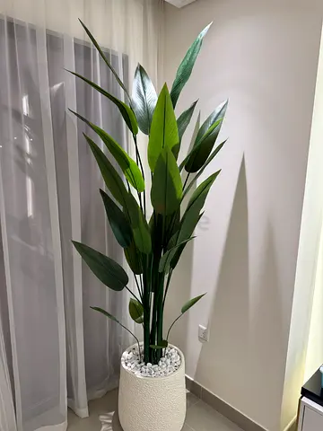 Artificial Paradise plant with planter's