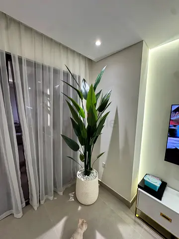 Artificial Paradise plant with planter's