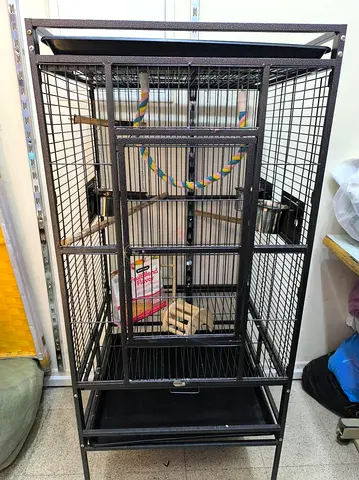 Large Metal Bird Cage with Removable Tray - Good Condition
