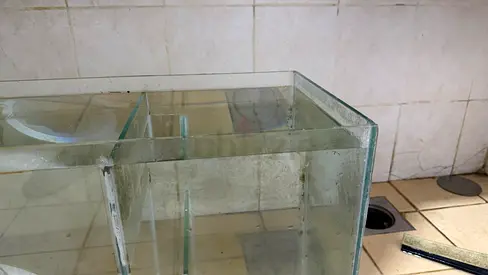 Used glass aquarium tank (large) - needs cleaning, minor chip on rim