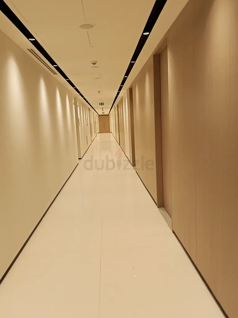 DPV_View_Image_0