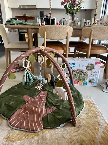 Baby Play Mat and Infant Activity Gym with toys