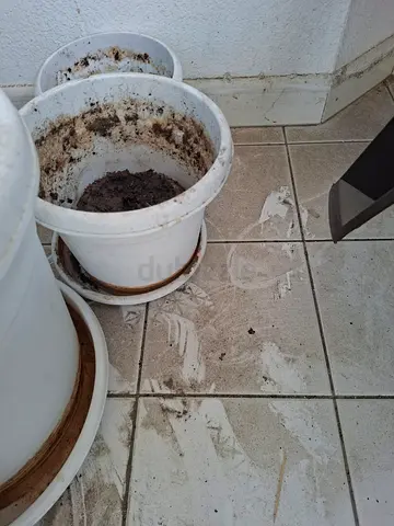 Plant pots only