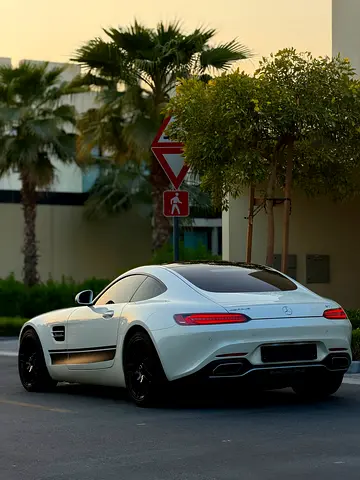 2016 Mercedes-BENZ AMG — фото 5