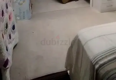 Gray Carpet/Rug