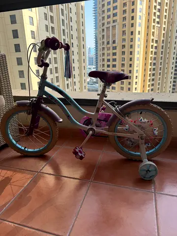 Girls Bike Disney Frozen