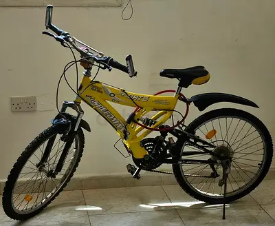 Bicycle with Gears