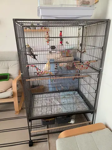 Bird cage large for sale