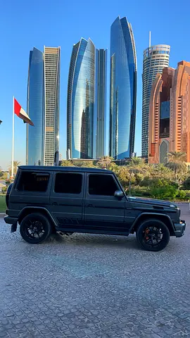 2016 Mercedes-BENZ G-CLASS photo 3