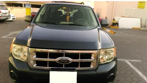 2009 FORD ESCAPE photo 1
