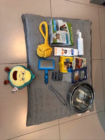 Complete starter kit for small dog or puppy - bed, bowls, toys, grooming & food