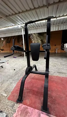 Chin Up / Dip / Leg Raise