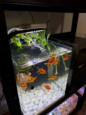 Aquarium