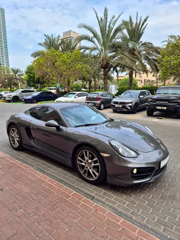 2015 Porsche CAYMAN 缩略图 11