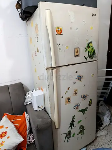 Used LG Double Door Refrigerator - Needs Cleaning/Minor Repairs
