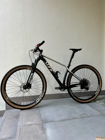 Carbon bicycle Sunpeed