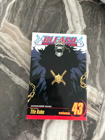 Bleach manga 43