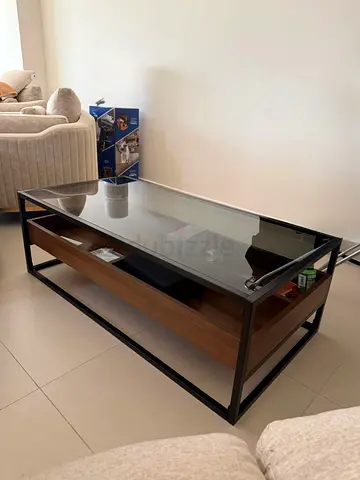 Modern Glass Top Coffee Table with Storage Shelf