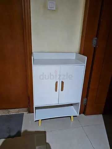 Shoe cabinet with shelf and storage