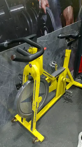 Schwinn Indoor Exercise / Spinning Bike
