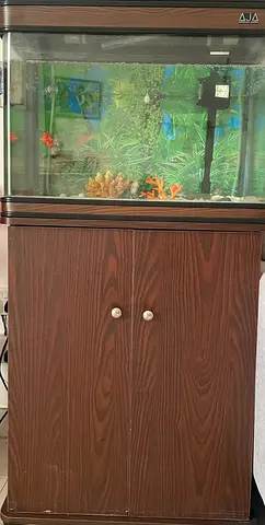 Fish tank