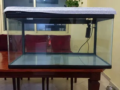 100 cm Glass Fish Aquarium Tank with Lid and Filter — Good Condition
