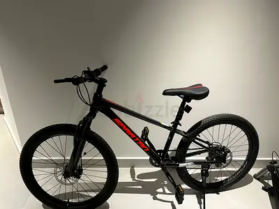 Spartan Mountain Bike