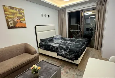 FULLY FURNISHED I WELL DESIGNED I READY TO MOVE
