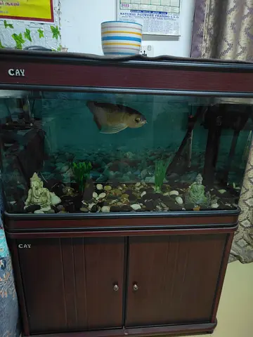 Wooden Fish Tank Aquarium with Cabinet - Ready to Use
