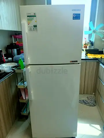 Samsung fridge 2 door