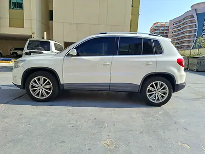 2010 Volkswagen TIGUAN — фото 10