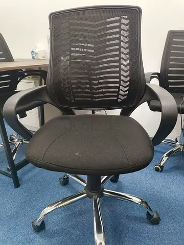 Ergonomic Mesh Office Chair with Chrome Base