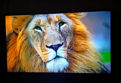 Sony Bravia 55 inch 4K UHD Smart TV