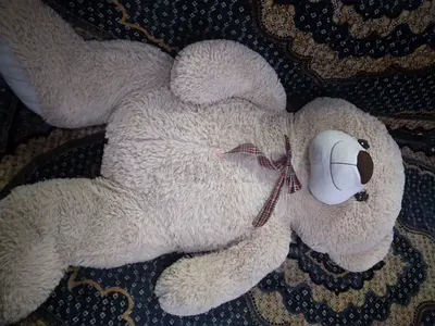 Giant brown Teddy bear for salee urgent salee
