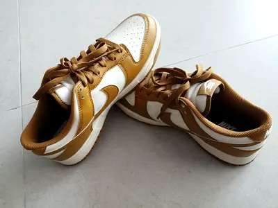 Nike Dunk Low Retro 41 EU for Sale