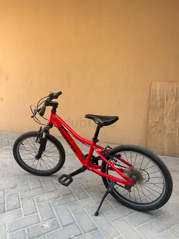 Bicycles kids Geant 20”