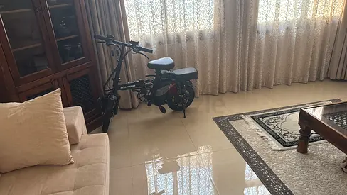 Compact foldable electric bike/scooter - excellent working condition