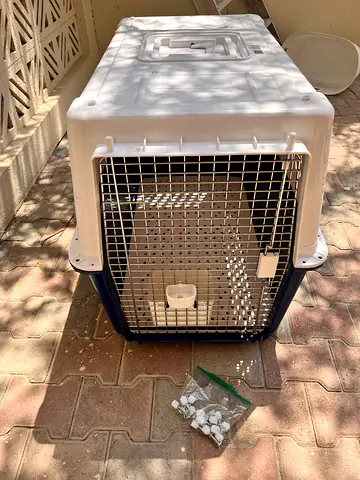 Airline approved dog crate carrier